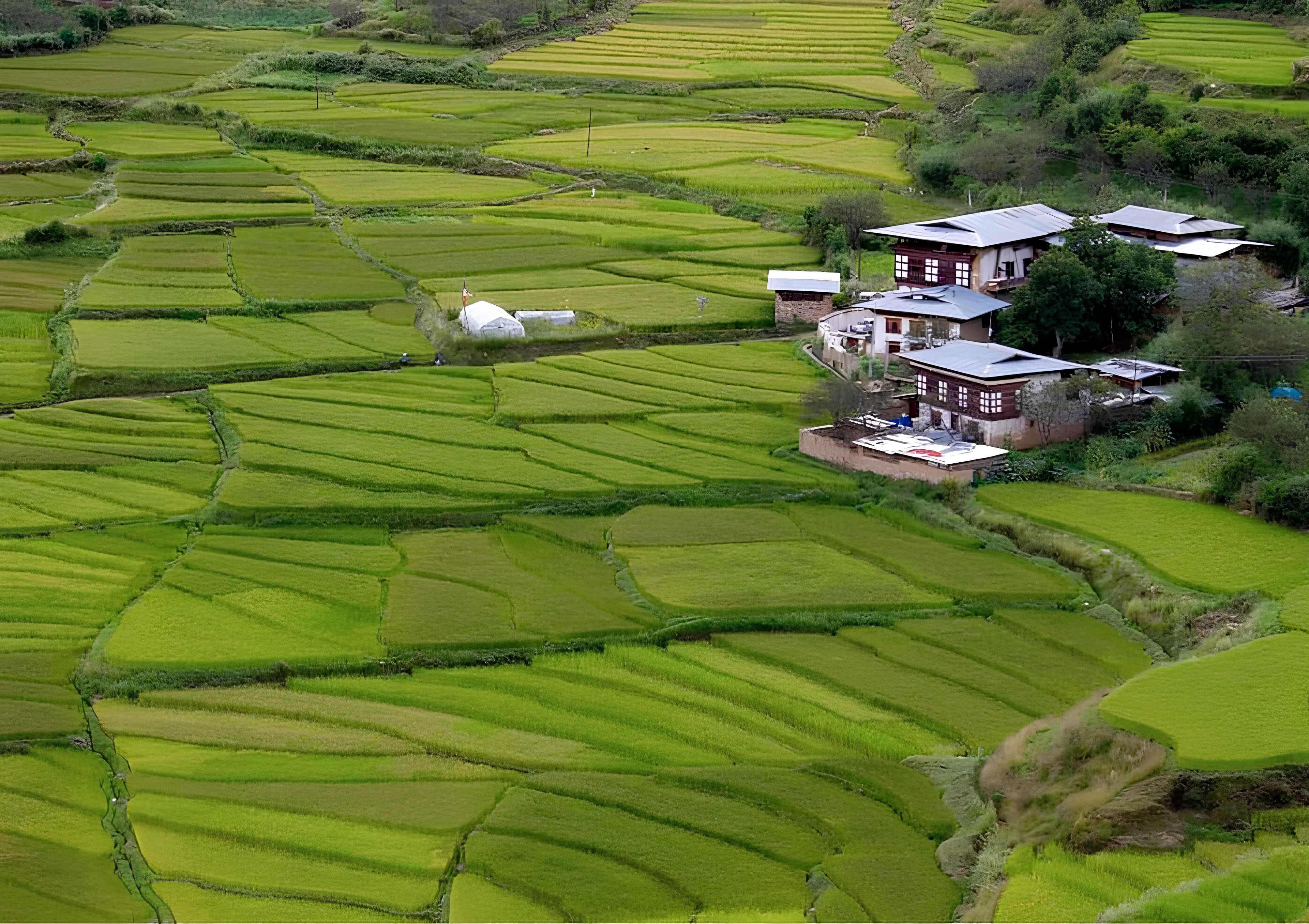 Phobjikha Valley (Gangtey)